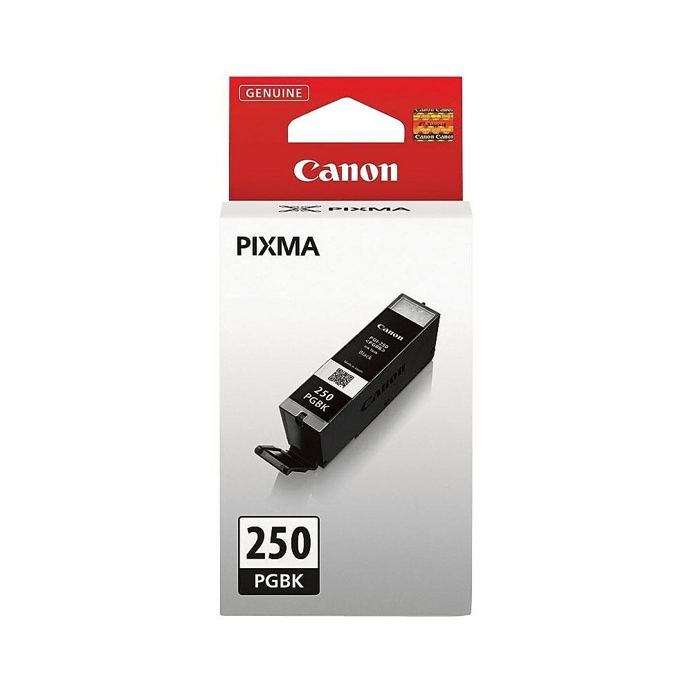 CANON Cartouche Jet d'encre Originale Noire (300 pages) - 250BK - 6497B001