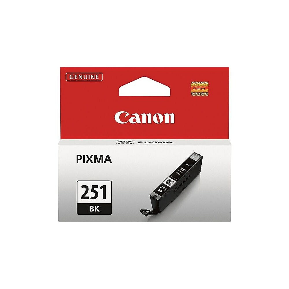 CANON Cartouche Jet d'encre Originale Noire (300 pages) - 251BK - 6513B001