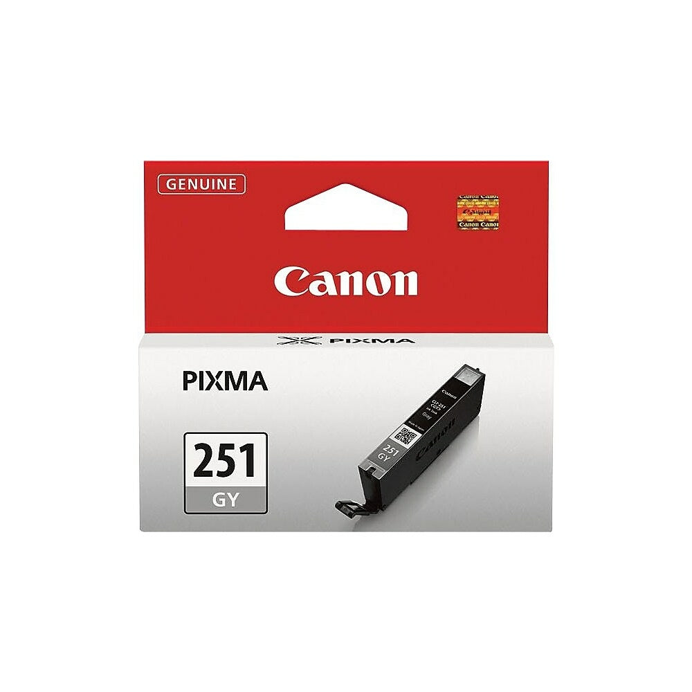 CANON Cartouche Jet d'encre Originale Gris (298 pages) - 6517B001