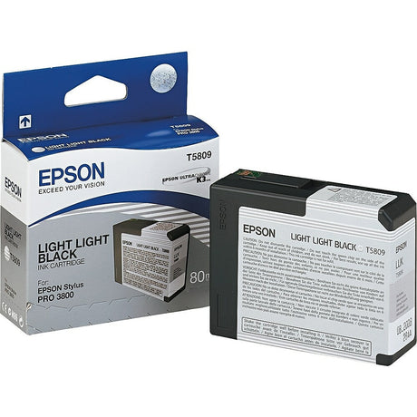 EPSON Cartouche Jet d'encre Originale Noire, léger (245 pages)  - T580 - T580900